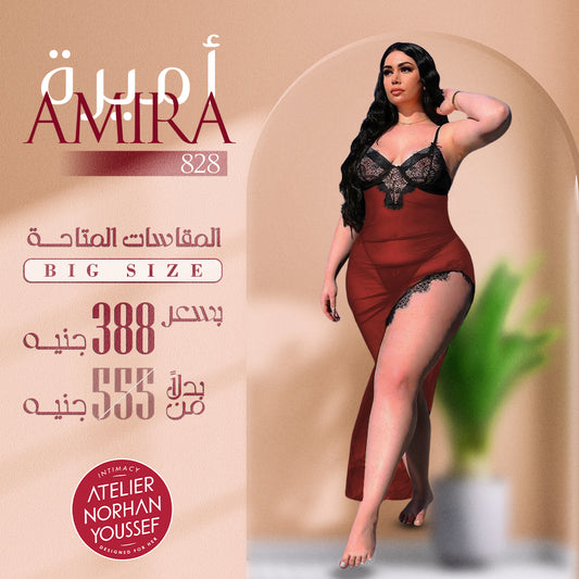 Amira's Bodysuits